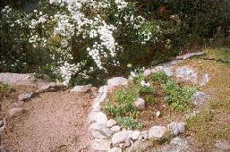 Terraces 1996